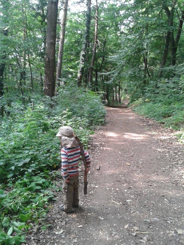Wandering in the woods above Heidelberg with my Little One 